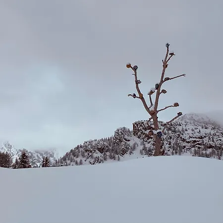 Mansardacourmayeur Appartamento Courmayeur